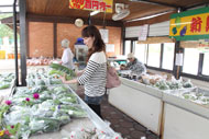道の駅　おふく　野菜市場
